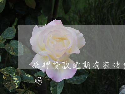 抵押贷款逾期有家访费吗(贷款逾期家访合法吗)