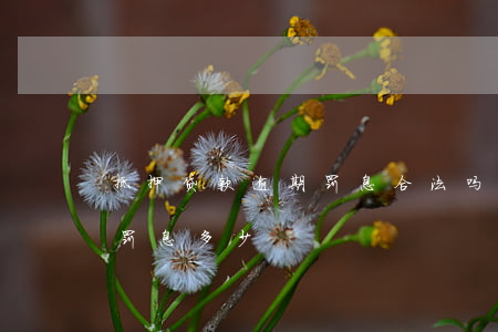 抵押贷款逾期罚息合法吗(房子抵押贷款逾期罚息多少)