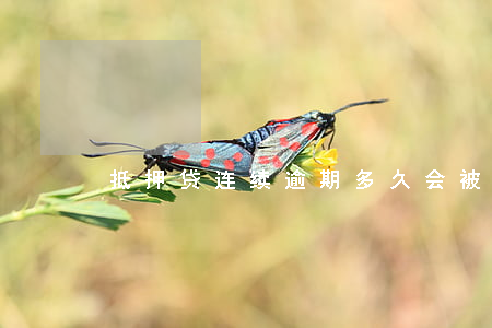 抵押贷连续逾期多久会被起诉