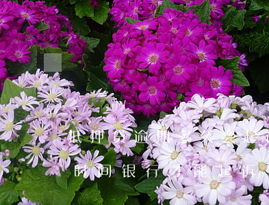 抵押贷逾期多久会起诉 房产抵押贷逾期多长时间银行才能起诉