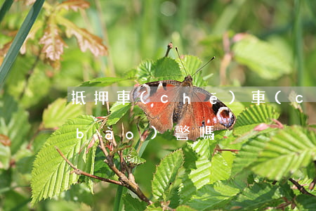 抵押車(chē)車(chē)主可以報(bào)警嗎