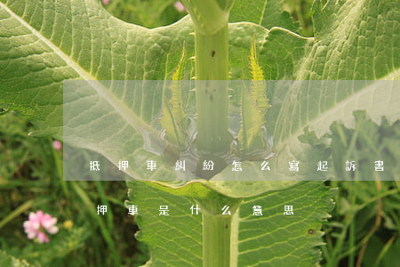 抵押車糾紛怎么寫起訴書(帶法院判決書的抵押車是什么意思)