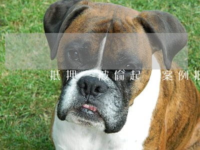抵押車被偷起訴案例(抵押車被車主偷走犯法嗎)