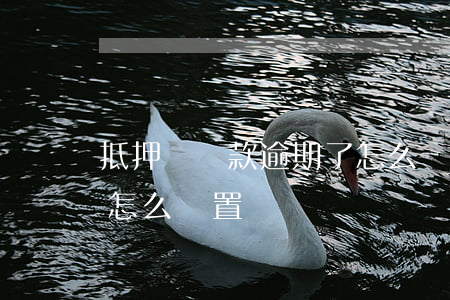 抵押車貸款逾期了怎么辦(車輛抵押貸款逾期怎么處置)