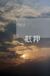 抵押車貸款逾期被人開走