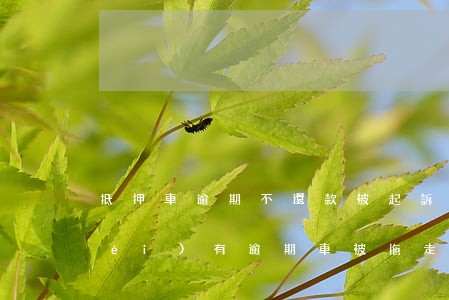 抵押車逾期不還款被起訴(車抵押貸款沒(méi)有逾期車被拖走)