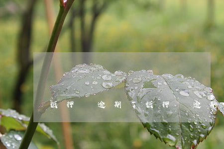 抵押車逾期了 抵押車逾期了怎么辦