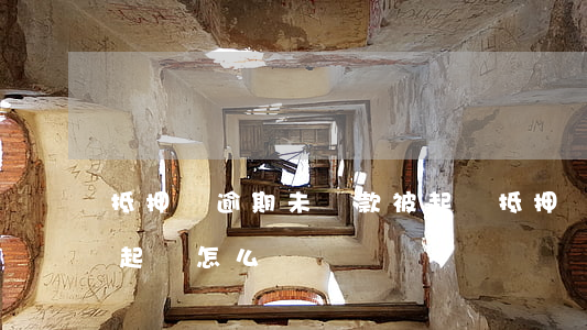 抵押車逾期未還款被起訴(抵押車不還款車被起訴怎么辦)