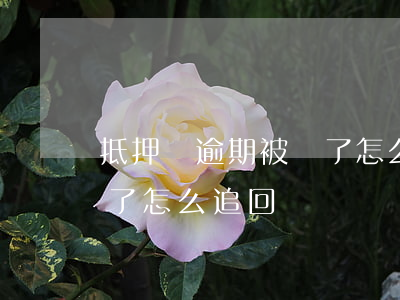 抵押車逾期被賣了怎么追回(抵押車逾期被賣了怎么追回來)