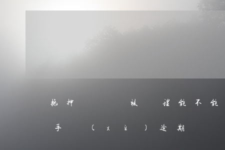 抵押車違約被處理,能不能起訴（起訴車輛抵押手續(xù)逾期）