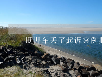 抵押车丢了起诉案例(抵押车丢了起诉也没用)