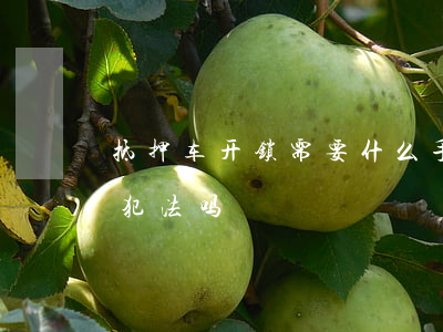抵押车开锁需要什么手续(晚上为抵押车开锁犯法吗)