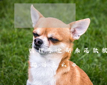抵押车逾期未还款被起诉(抵押车不还款车被起诉怎么办)