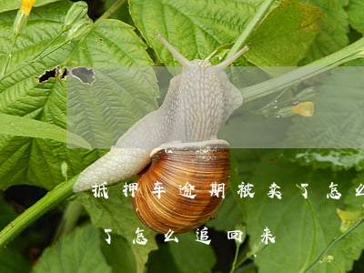 抵押车逾期被卖了怎么追回(抵押车逾期被卖了怎么追回来)