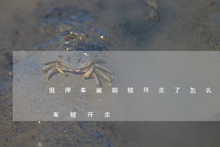 抵押车逾期被开走了怎么起诉(车抵押了逾期车被开走)