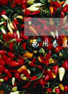抵用券属于欺诈行为吗
