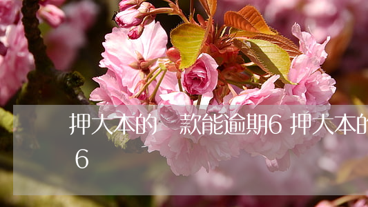 押大本的貸款能逾期6(押大本的貸款能逾期6)