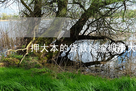 押大本的貸款能逾期(用大本抵押貸款靠譜嗎)
