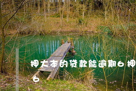 押大本的贷款能逾期6(押大本的贷款能逾期6)