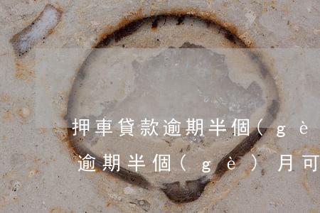 押車貸款逾期半個(gè)月(汽車抵押貸款逾期半個(gè)月可以拖車嗎)