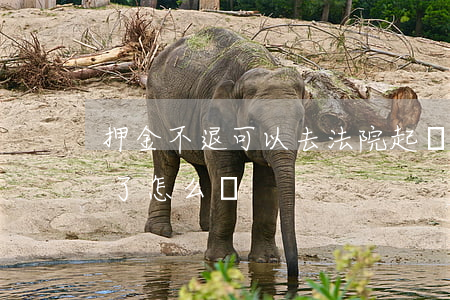 押金不退可以去法院起訴嗎(法院押金不愿退了怎么辦)