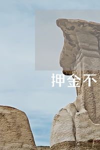 押金不退起诉书怎么写(起诉不退押金的流程)