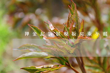 押金起訴狀模板(房東不退押金起訴狀模板)