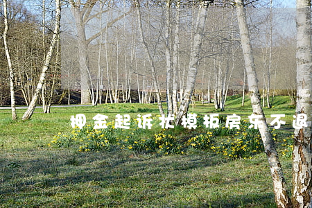 押金起诉状模板(房东不退押金起诉状模板)