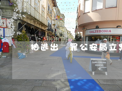 抽逃出資罪公安局立案嗎