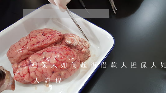 担保人如何起诉借款人,担保人如何起诉借款人流程 担保人如何起诉借款人,担保人如何起诉借款人流程