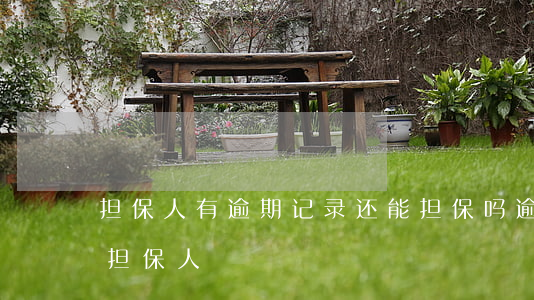 担保人有逾期记录还能担保吗（逾期多久通知担保人）