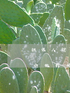 担保人财产可以诉讼保全吗(担保人财产保全会执行吗)