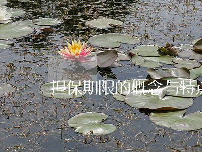 担保期限的概念与特点是什么