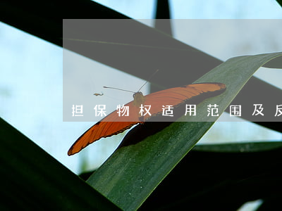 担保物权适用范围及反担保