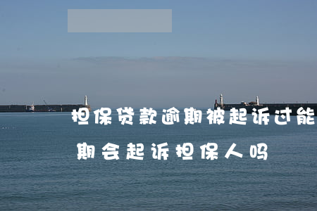 担保贷款逾期被起诉过能贷款吗(银行贷款逾期会起诉担保人吗)