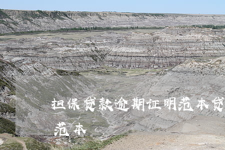 担保贷款逾期证明范本(贷款担保证明怎么写范本)