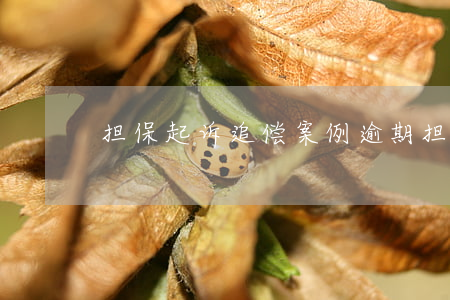 担保起诉追偿案例逾期(担保追偿权纠纷案例)