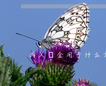 拆入資金用于什么方面