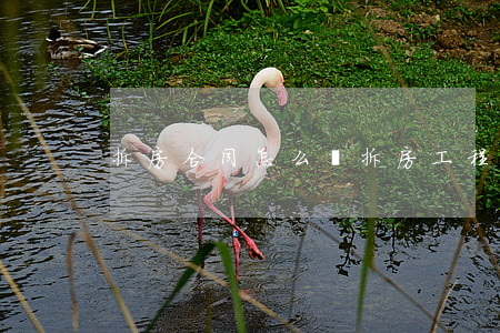 拆房合同怎么寫(拆房工程協(xié)議)