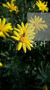拆扦房可以繼承嗎