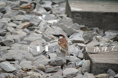 拆檢費(fèi)法院不給判怎么做