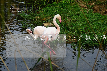 拆迁安置房是小产权房吗