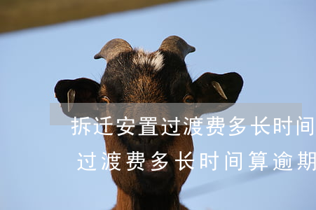 拆迁安置过渡费多长时间算逾期-拆迁安置过渡费多长时间算逾期了