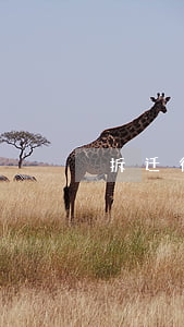 拆迁律师有什么用处(拆迁律师的收费是多少)