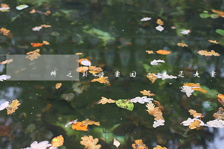 拆迁补偿要回迁房还是要钱好