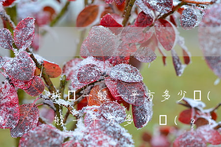 拆遷一般一平方多少錢(qián)(拆遷一般一平方多少錢(qián)蘇州)