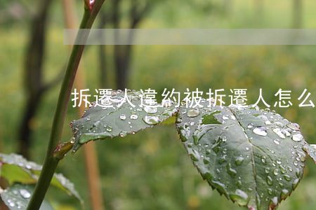 拆遷人違約被拆遷人怎么維權