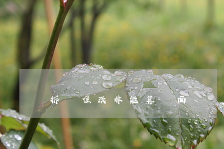 拆遷住改非能算門面嗎
