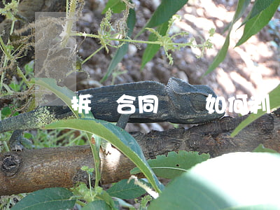 拆遷合同糾紛如何判決(拆遷合同糾紛如何判決)