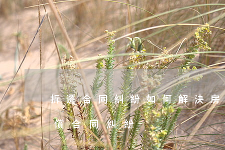 拆遷合同糾紛如何解決(房屋拆遷補(bǔ)償合同糾紛)